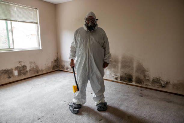 Best Mold Damage Repair  in San Ramon, CA